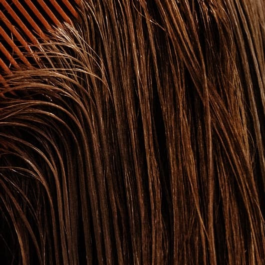 The Luxe at Emerald Luxe Salon & Head Spa in Perrysburg, OH